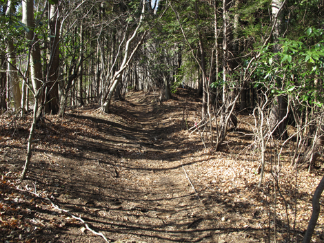 20180116hike (34)